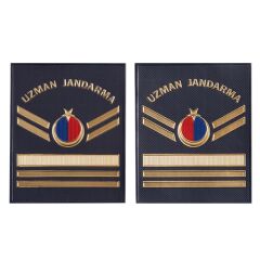 Asayiş TPU Uzman J. 6 Kademe Çavuş Rütbesi